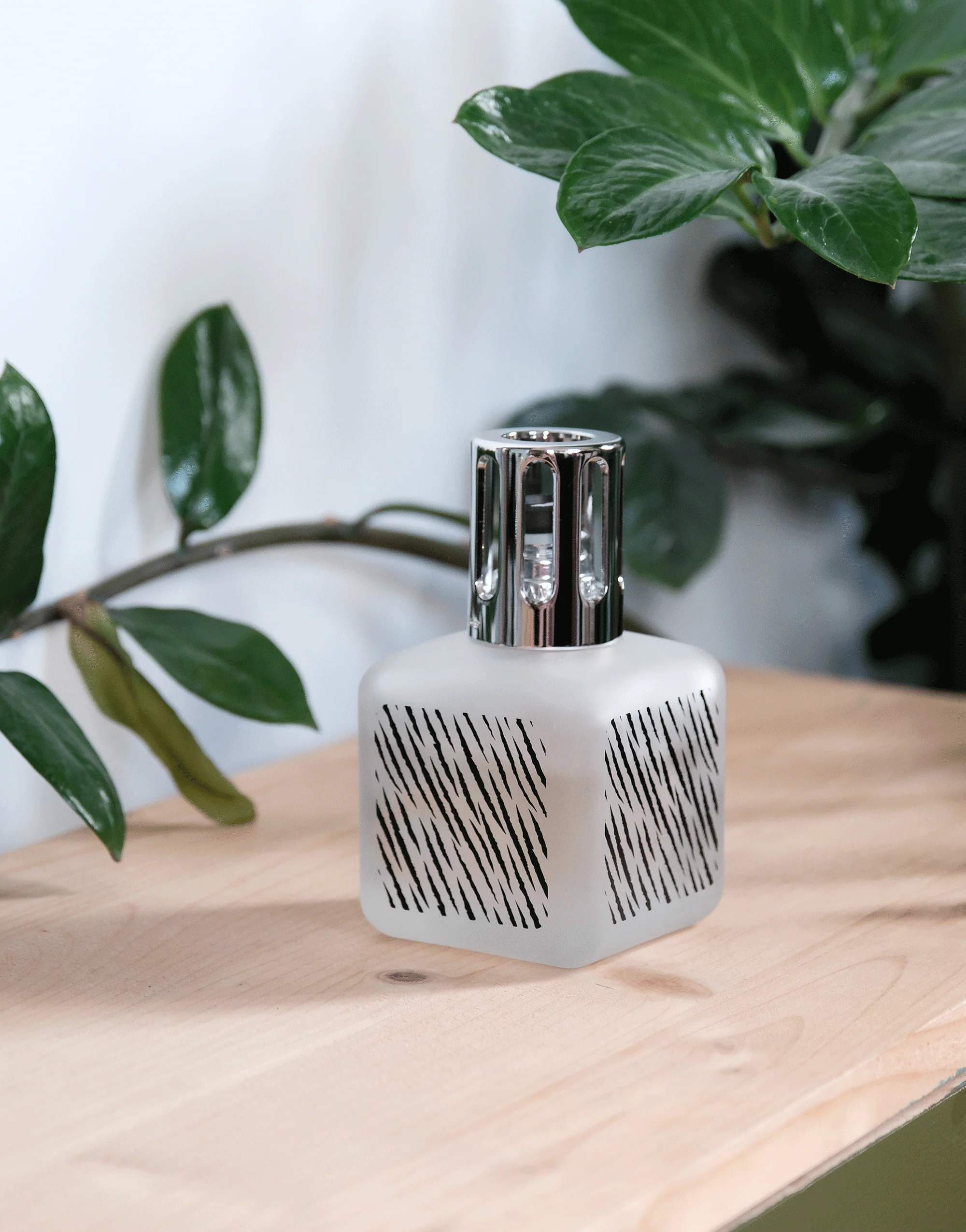 Lampe Berger Giftset GlaƧon Zebra - Image 6