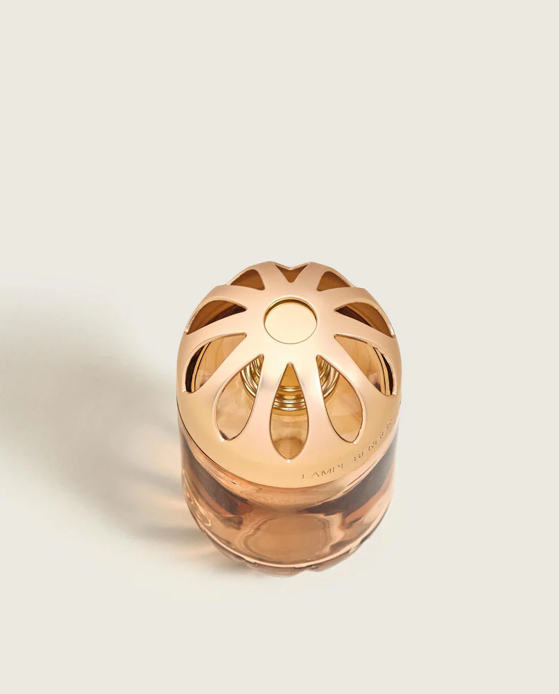 Miniatuur 2