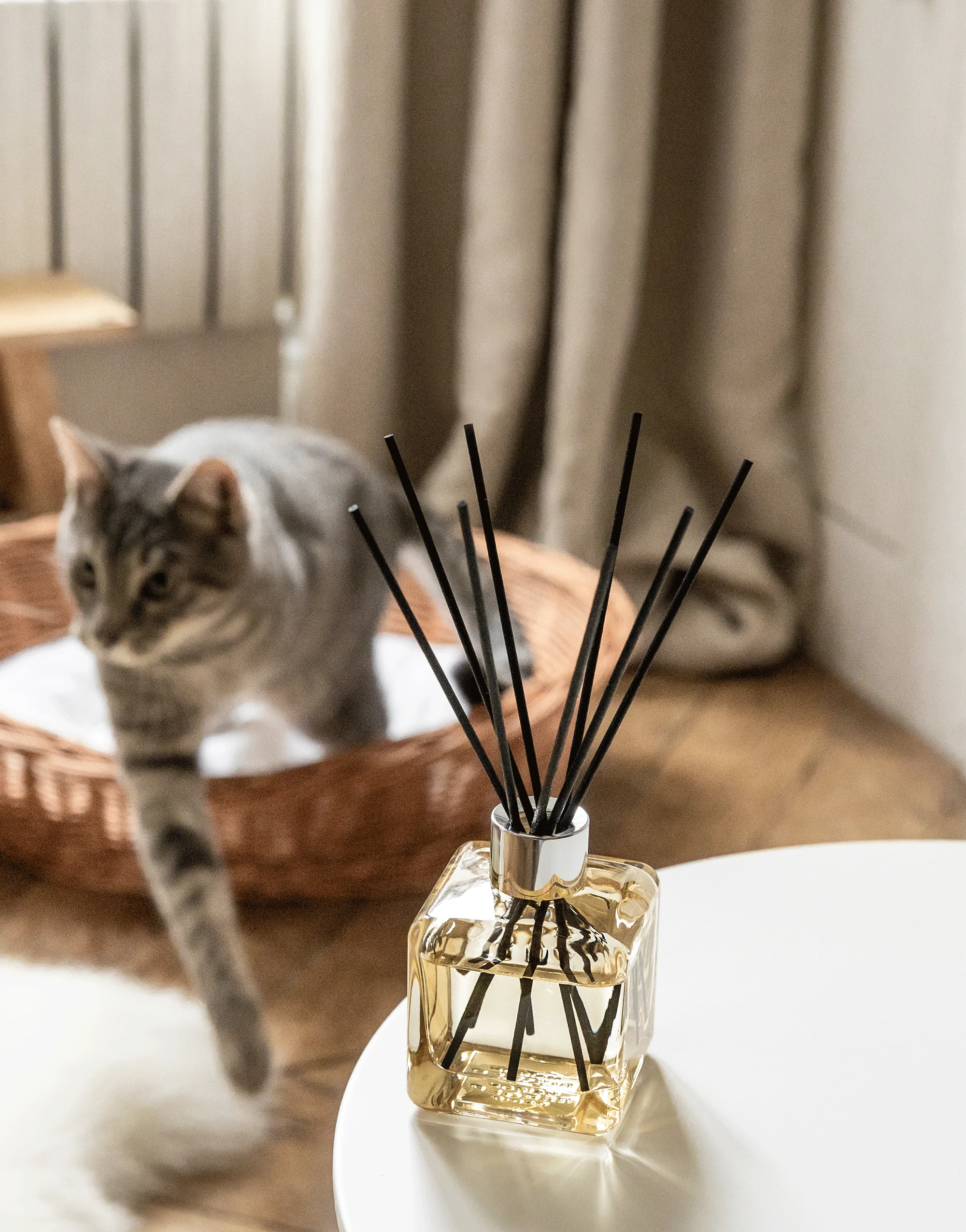 Parfumsticks Mijn Interieur Zonder Dierengeurtjes - Image 5